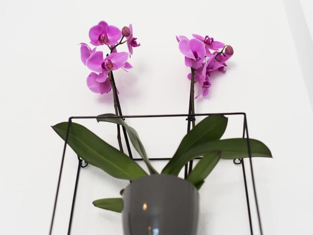 Rosaleda Center Apartment *